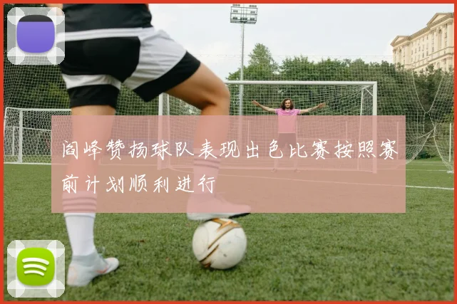 阎峰赞扬球队表现出色比赛按照赛前计划顺利进行