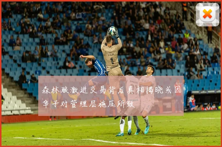 森林狼激进交易背后真相揭晓或因华子对管理层施压所致