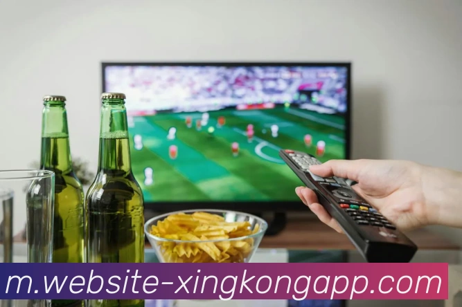 数据分析功能