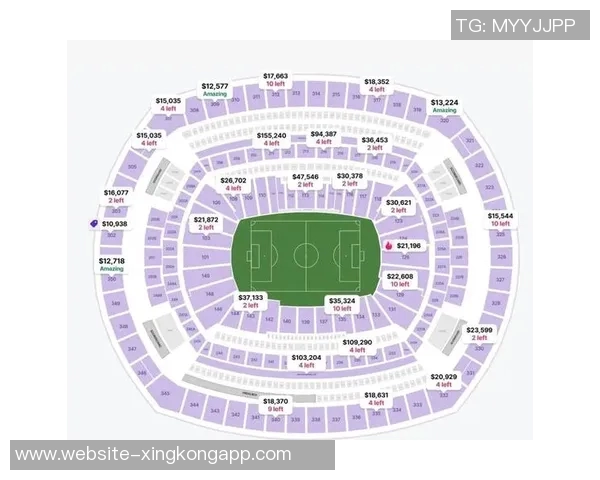 世界杯决赛门票暴涨十倍法国球迷观赛成本激增难以承受